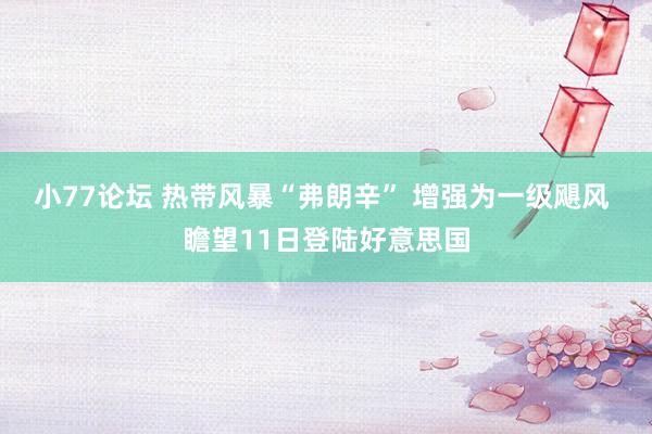 小77论坛 热带风暴“弗朗辛” 增强为一级飓风 瞻望11日登陆好意思国