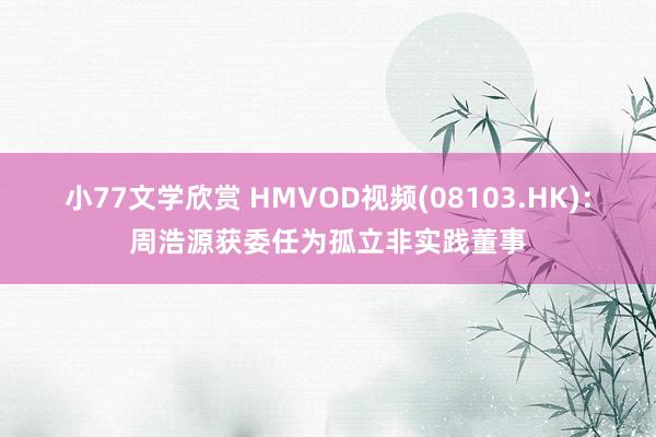 小77文学欣赏 HMVOD视频(08103.HK)：周浩源获委任为孤立非实践董事