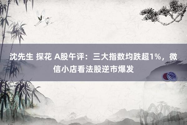 沈先生 探花 A股午评：三大指数均跌超1%，微信小店看法股逆市爆发