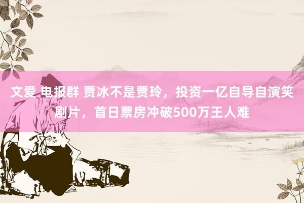 文爱 电报群 贾冰不是贾玲，投资一亿自导自演笑剧片，首日票房冲破500万王人难