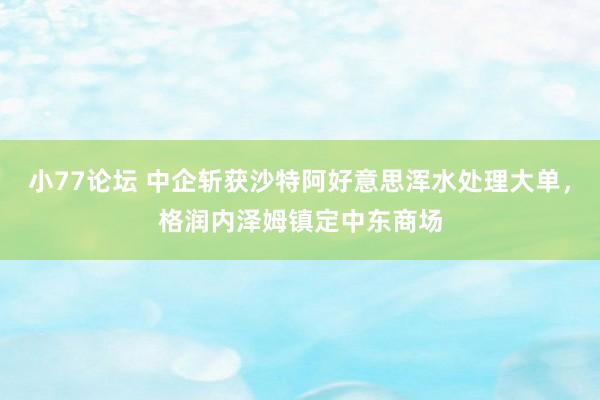 小77论坛 中企斩获沙特阿好意思浑水处理大单，格润内泽姆镇定中东商场