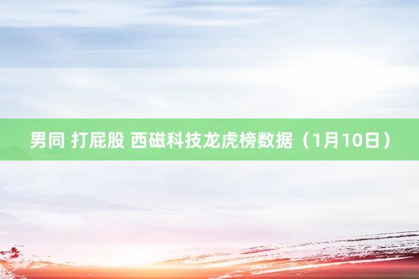 男同 打屁股 西磁科技龙虎榜数据（1月10日）