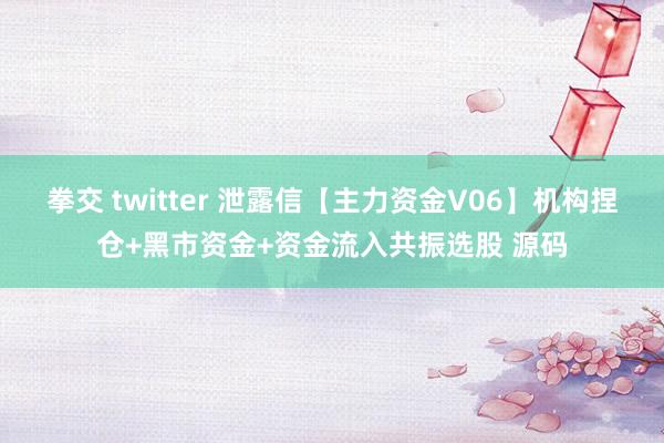 拳交 twitter 泄露信【主力资金V06】机构捏仓+黑市资金+资金流入共振选股 源码