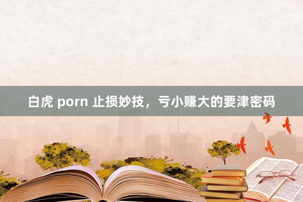 白虎 porn 止损妙技，亏小赚大的要津密码