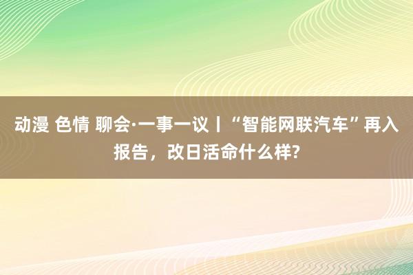 动漫 色情 聊会·一事一议丨“智能网联汽车”再入报告，改日活命什么样?