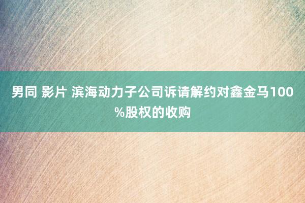男同 影片 滨海动力子公司诉请解约对鑫金马100%股权的收购