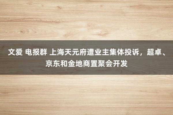 文爱 电报群 上海天元府遭业主集体投诉，超卓、京东和金地商置聚会开发