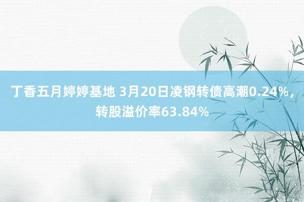 丁香五月婷婷基地 3月20日凌钢转债高潮0.24%，转股溢价率63.84%