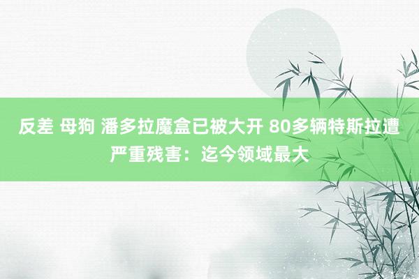 反差 母狗 潘多拉魔盒已被大开 80多辆特斯拉遭严重残害：迄今领域最大
