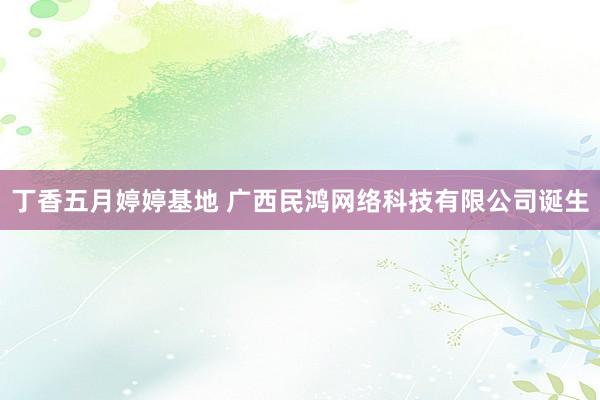 丁香五月婷婷基地 广西民鸿网络科技有限公司诞生