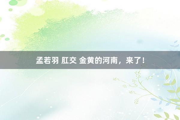 孟若羽 肛交 金黄的河南，来了！