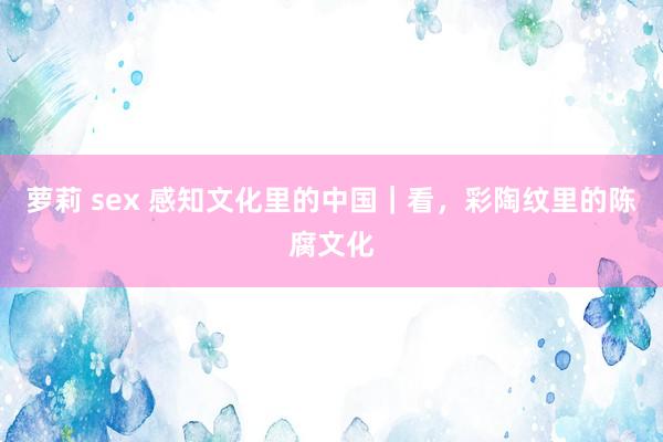 萝莉 sex 感知文化里的中国｜看，彩陶纹里的陈腐文化