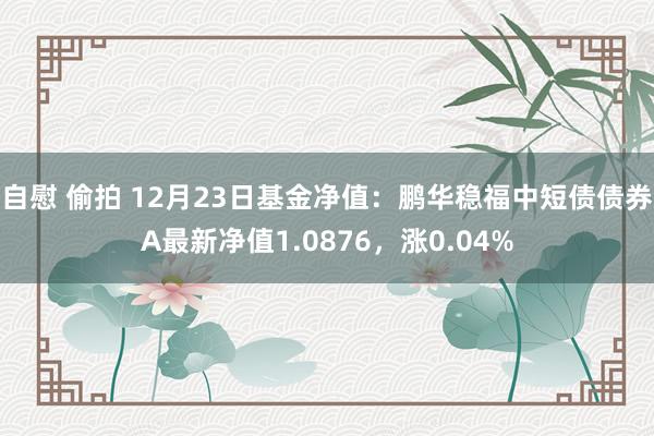 自慰 偷拍 12月23日基金净值：鹏华稳福中短债债券A最新净值1.0876，涨0.04%