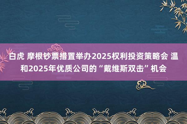 白虎 摩根钞票措置举办2025权利投资策略会 温和2025年优质公司的“戴维斯双击”机会