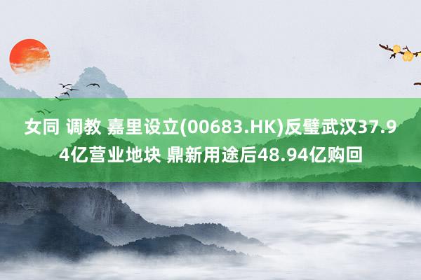 女同 调教 嘉里设立(00683.HK)反璧武汉37.94亿营业地块 鼎新用途后48.94亿购回