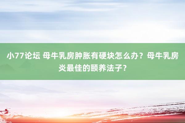 小77论坛 母牛乳房肿胀有硬块怎么办？母牛乳房炎最佳的颐养法子？