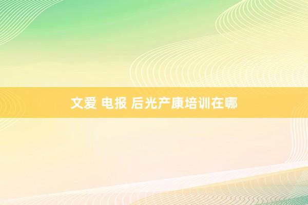 文爱 电报 后光产康培训在哪