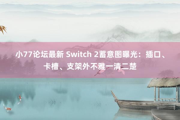 小77论坛最新 Switch 2蓄意图曝光：插口、卡槽、支架外不雅一清二楚