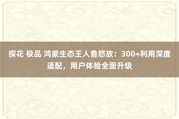 探花 极品 鸿蒙生态王人鲁怒放：300+利用深度适配，用户体验全面升级