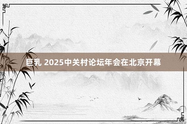 巨乳 2025中关村论坛年会在北京开幕