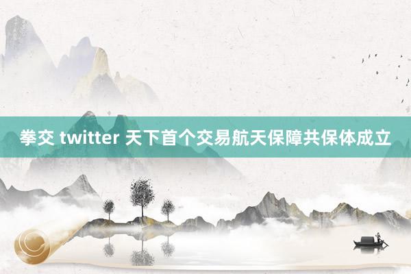 拳交 twitter 天下首个交易航天保障共保体成立