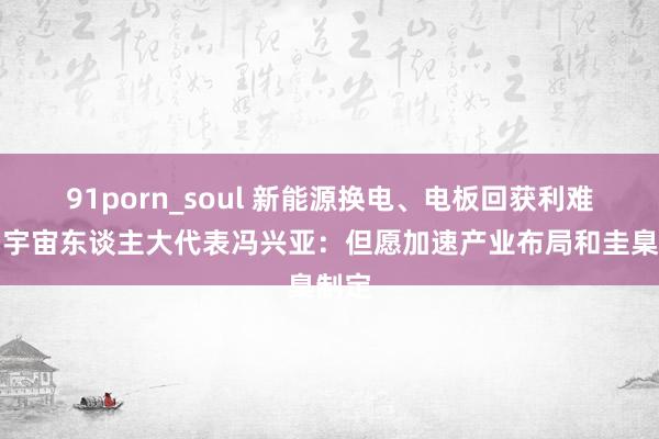 91porn_soul 新能源换电、电板回获利难点！宇宙东谈主大代表冯兴亚：但愿加速产业布局和圭臬制定