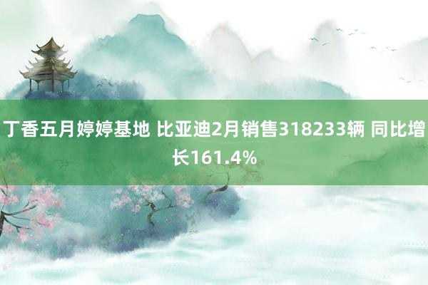 丁香五月婷婷基地 比亚迪2月销售318233辆 同比增长161.4%