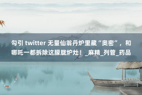 勾引 twitter 无量仙翁丹炉里藏“奥密”，和哪吒一都拆除这朦胧炉灶！_麻精_列管_药品