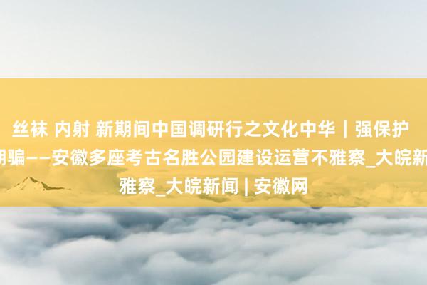 丝袜 内射 新期间中国调研行之文化中华｜强保护 优展示 活期骗——安徽多座考古名胜公园建设运营不雅察_大皖新闻 | 安徽网