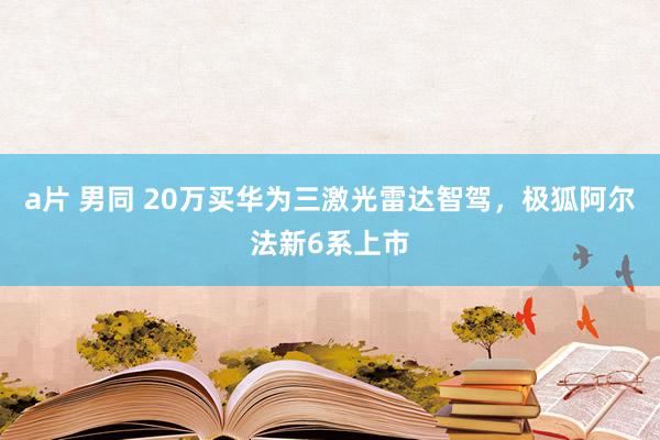 a片 男同 20万买华为三激光雷达智驾，极狐阿尔法新6系上市
