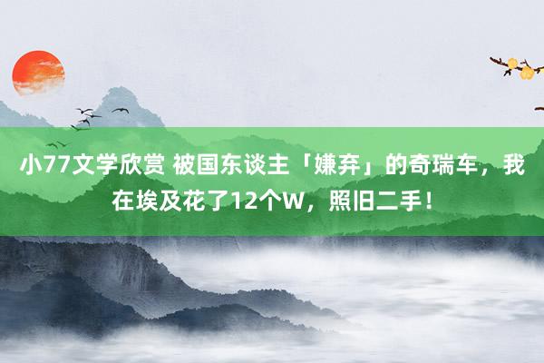 小77文学欣赏 被国东谈主「嫌弃」的奇瑞车，我在埃及花了12个W，照旧二手！