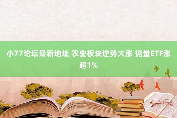 小77论坛最新地址 农业板块逆势大涨 掂量ETF涨超1%
