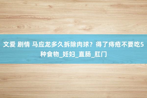 文爱 剧情 马应龙多久拆除肉球？得了痔疮不要吃5种食物_妊妇_直肠_肛门