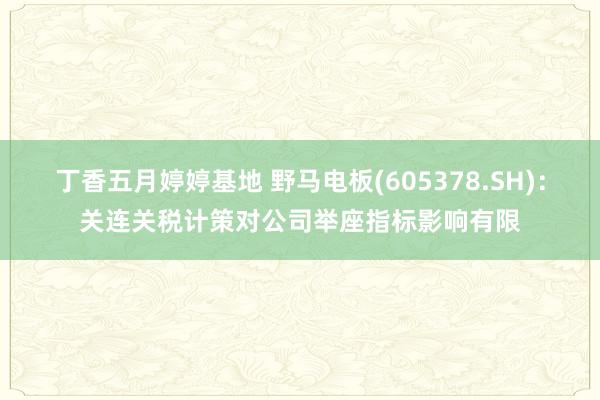 丁香五月婷婷基地 野马电板(605378.SH)：关连关税计策对公司举座指标影响有限