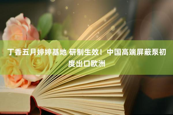丁香五月婷婷基地 研制生效！中国高端屏蔽泵初度出口欧洲