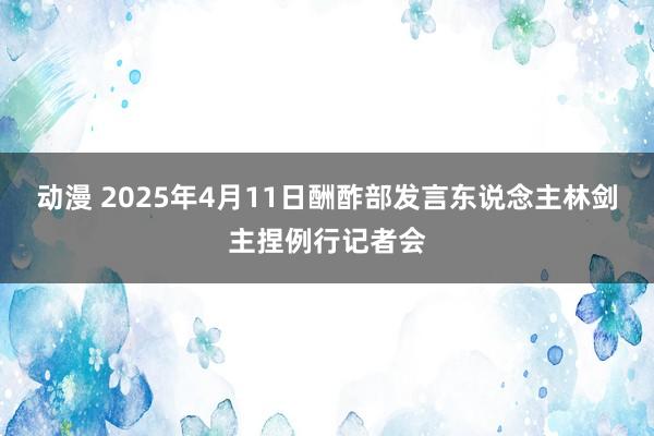 动漫 2025年4月11日酬酢部发言东说念主林剑主捏例行记者会