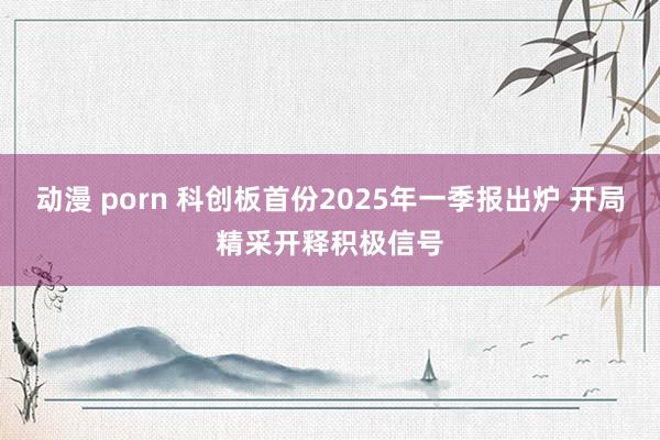 动漫 porn 科创板首份2025年一季报出炉 开局精采开释积极信号