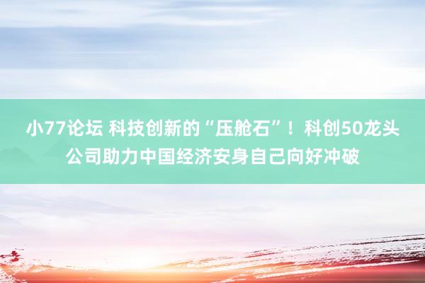 小77论坛 科技创新的“压舱石”！科创50龙头公司助力中国经济安身自己向好冲破
