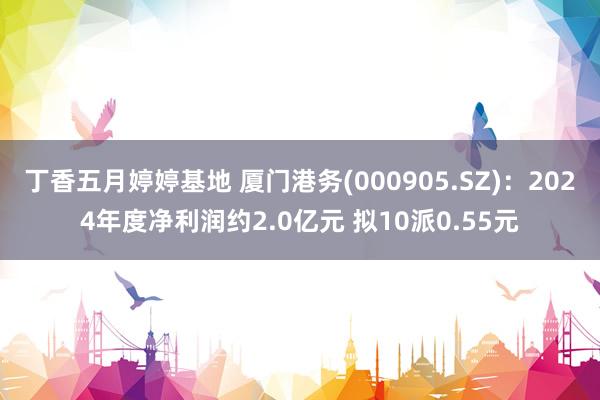 丁香五月婷婷基地 厦门港务(000905.SZ)：2024年度净利润约2.0亿元 拟10派0.55元