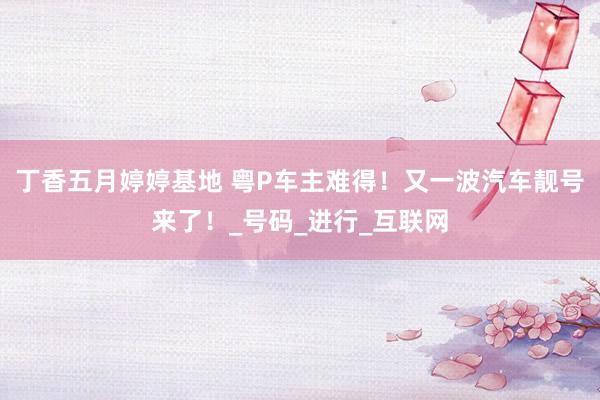 丁香五月婷婷基地 粤P车主难得！又一波汽车靓号来了！_号码_进行_互联网