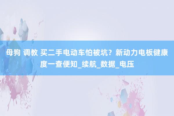 母狗 调教 买二手电动车怕被坑？新动力电板健康度一查便知_续航_数据_电压