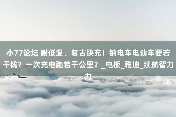 小77论坛 耐低温、复古快充！钠电车电动车要若干钱？一次充电跑若干公里？_电板_雅迪_续航智力