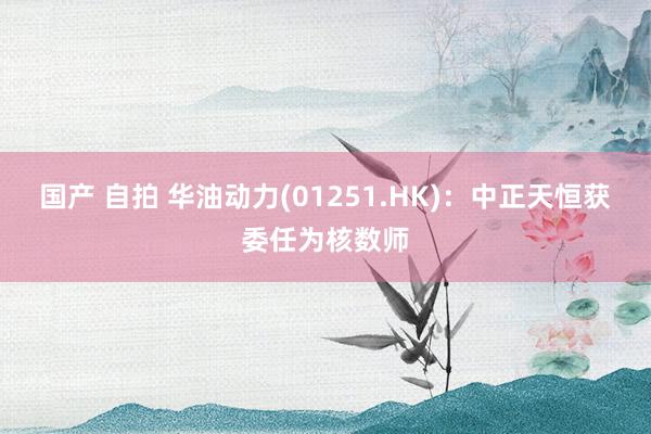 国产 自拍 华油动力(01251.HK)：中正天恒获委任为核数师
