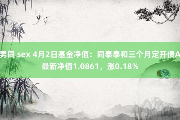 男同 sex 4月2日基金净值：同泰泰和三个月定开债A最新净值1.0861，涨0.18%
