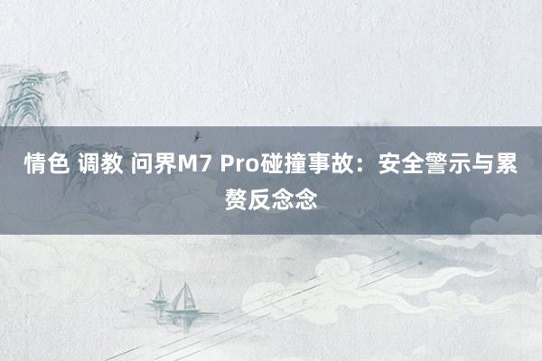 情色 调教 问界M7 Pro碰撞事故：安全警示与累赘反念念