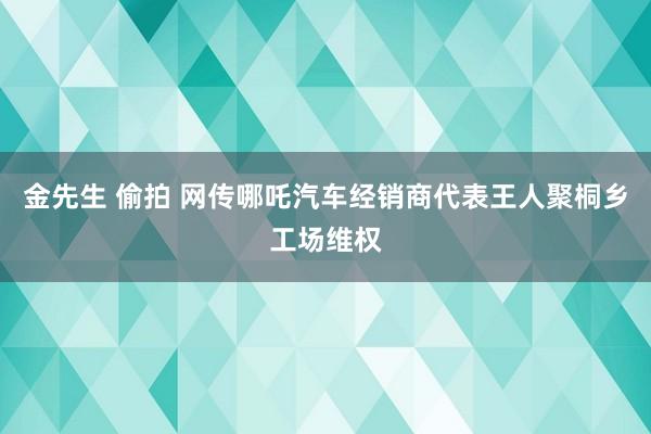 金先生 偷拍 网传哪吒汽车经销商代表王人聚桐乡工场维权