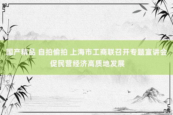 国产精品 自拍偷拍 上海市工商联召开专题宣讲会 促民营经济高质地发展