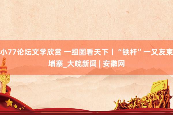 小77论坛文学欣赏 一组图看天下丨“铁杆”一又友柬埔寨_大皖新闻 | 安徽网