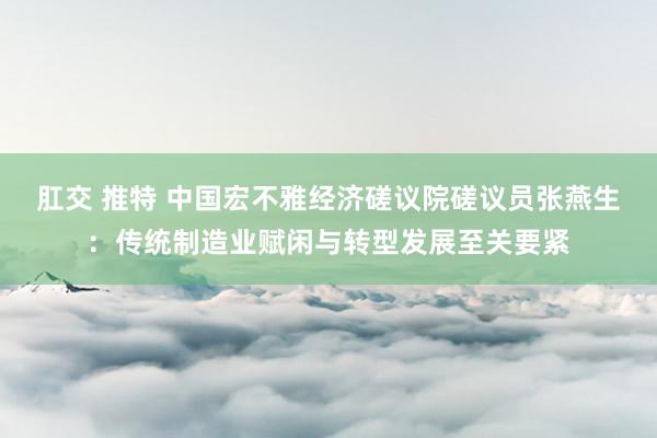 肛交 推特 中国宏不雅经济磋议院磋议员张燕生：传统制造业赋闲与转型发展至关要紧