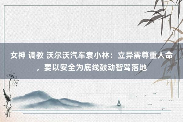 女神 调教 沃尔沃汽车袁小林：立异需尊重人命，要以安全为底线鼓动智驾落地